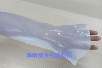 細(xì)菌纖維素膜,細(xì)菌纖維素纖維