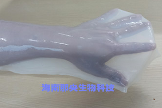 細(xì)菌纖維素材料,生物醫(yī)學(xué)材料,可降解生物材料