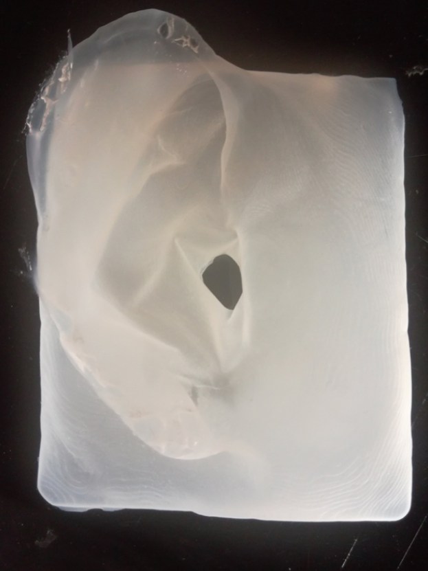 生物合成細(xì)菌纖維素時(shí)具有可調(diào)控性，可以改變菌體的生長空間，改變微纖絲的分布進(jìn)而得到理想的模型形狀。_副本